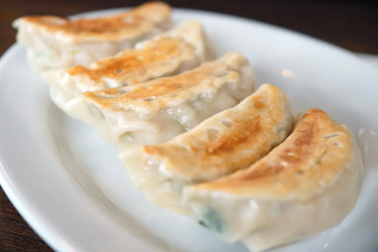 gyoza-gd7967d0a7_1280