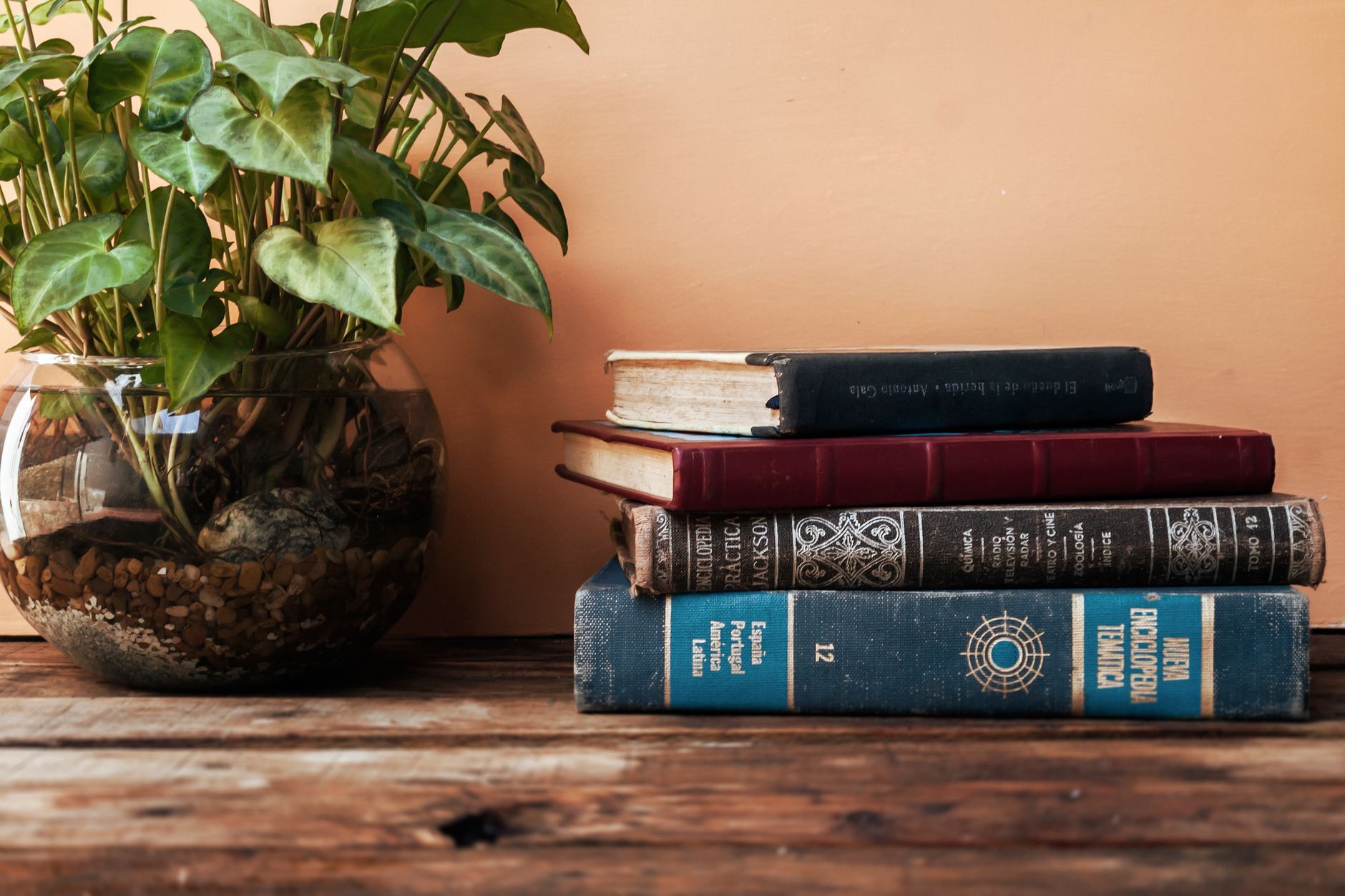 pile of old books